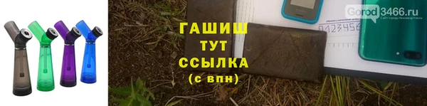 PSILOCYBIN Аркадак