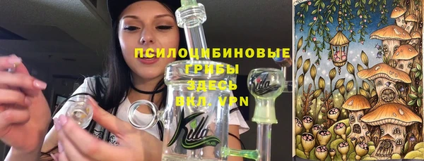 PSILOCYBIN Аркадак