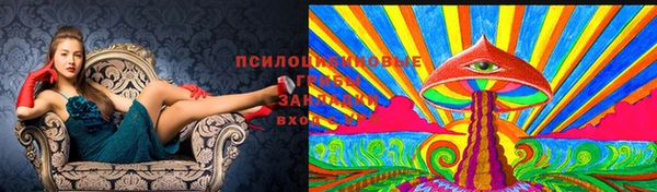 гашишное масло Арсеньев
