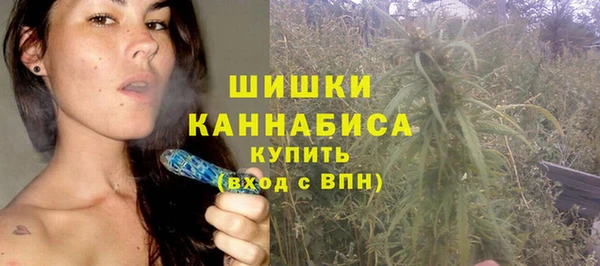 PSILOCYBIN Аркадак